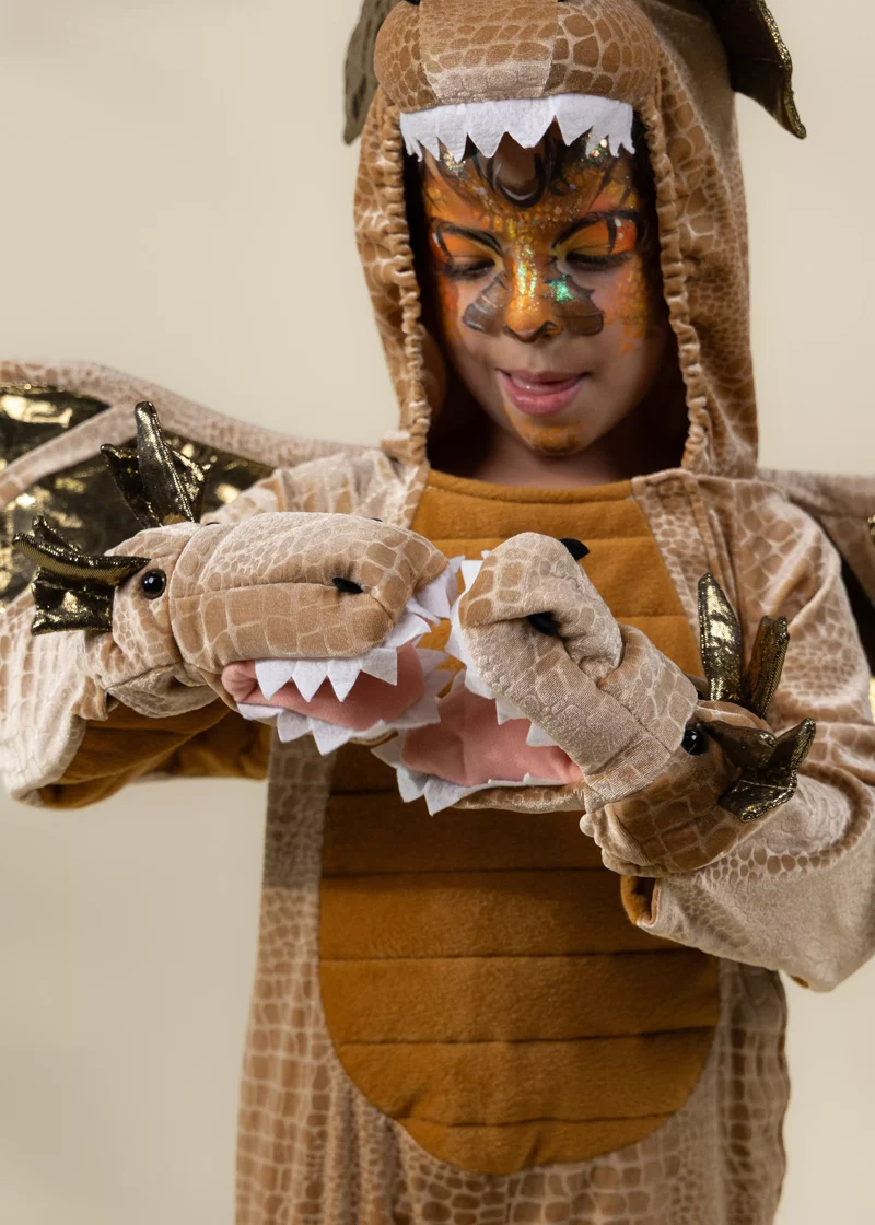 Dragon Costume