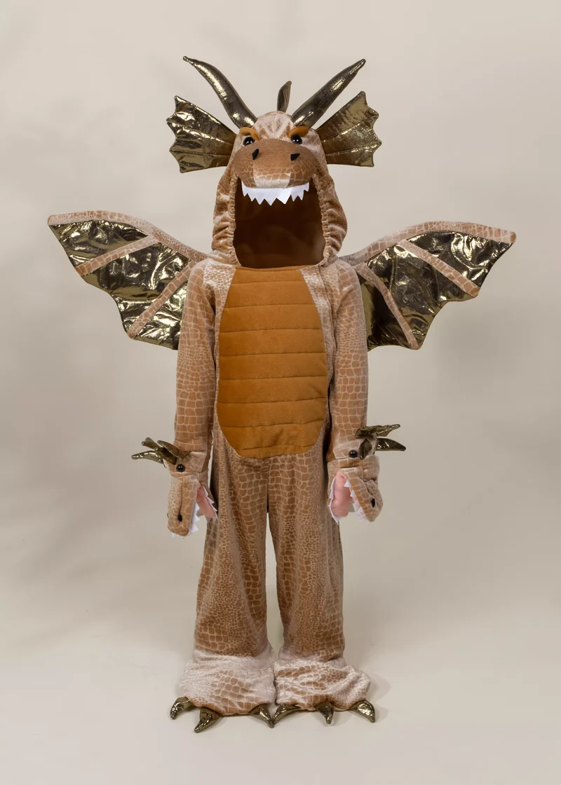 Dragon Costume