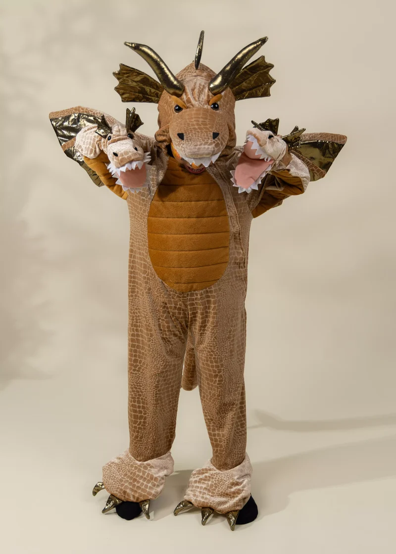Dragon Costume