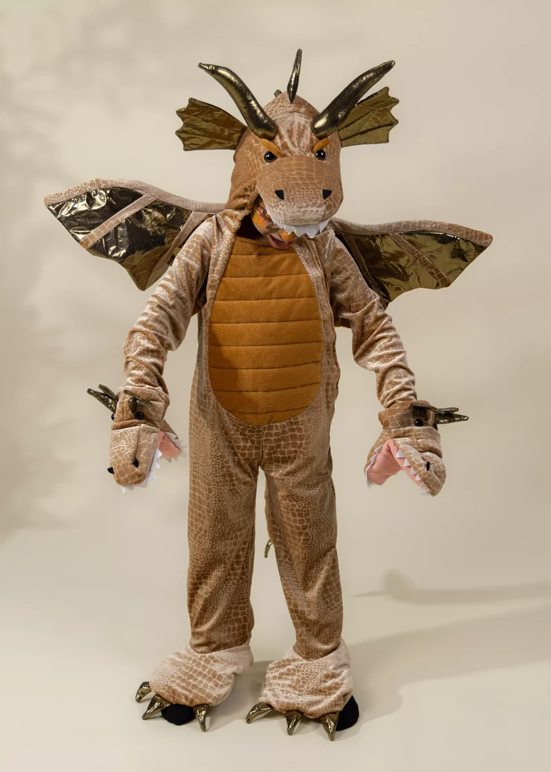 Dragon Costume