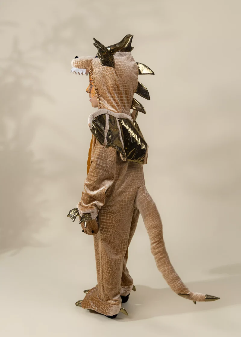 Dragon Costume