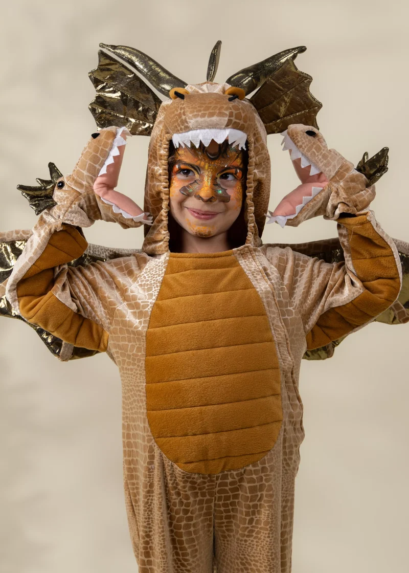 Dragon Costume