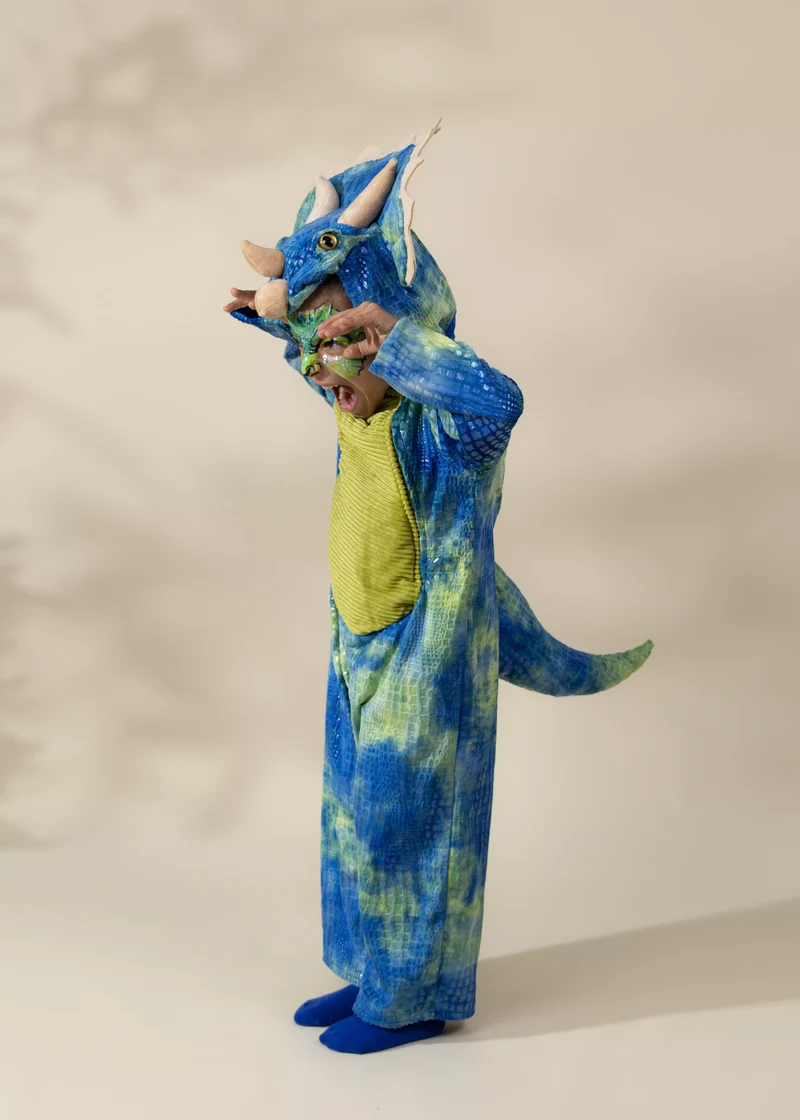 Triceratops Dino Costume