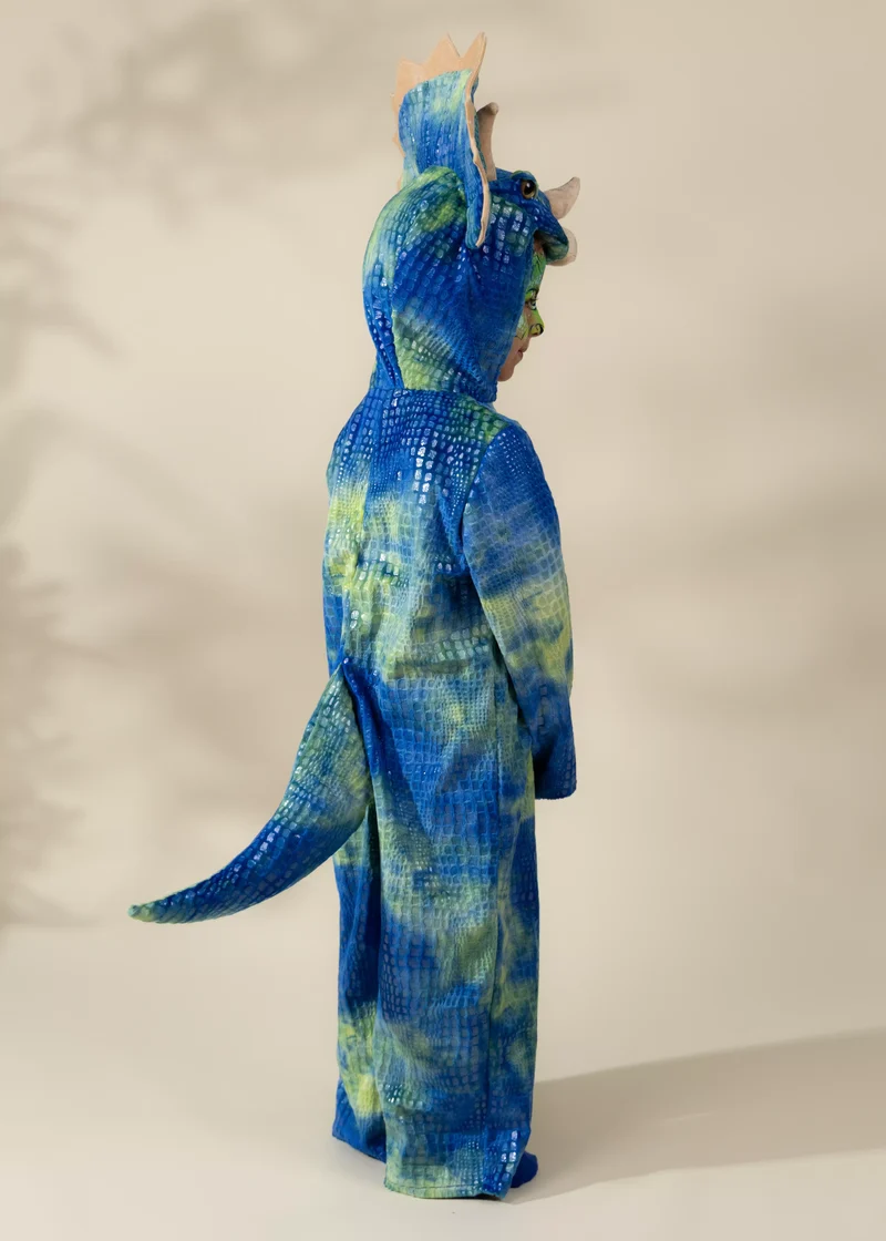 Triceratops Dino Costume