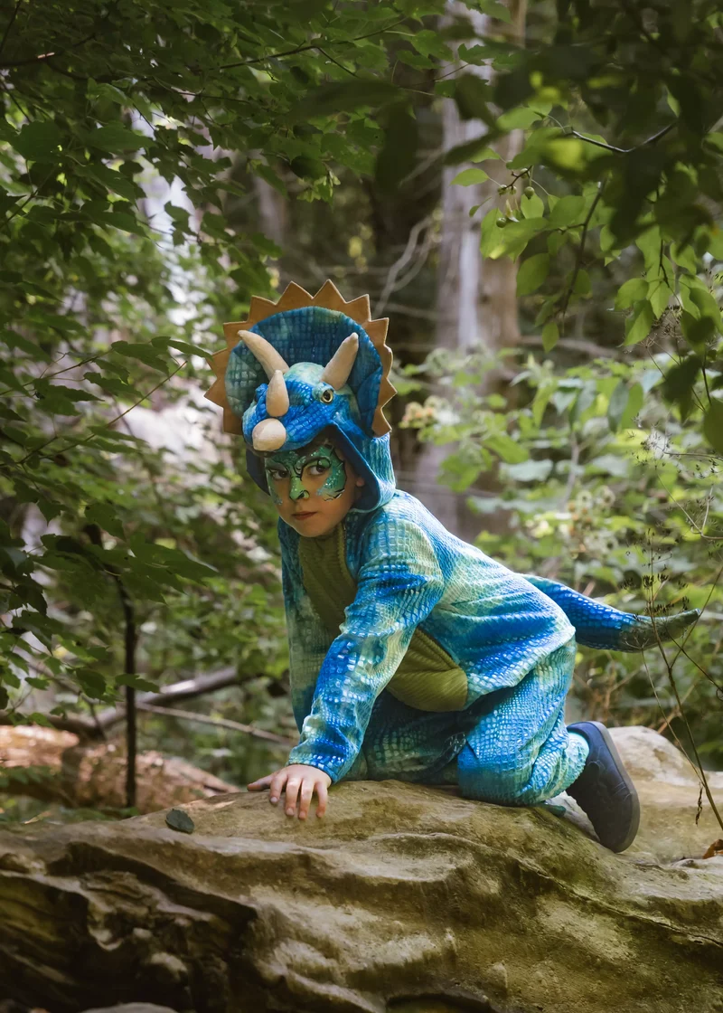 Triceratops Dino Costume