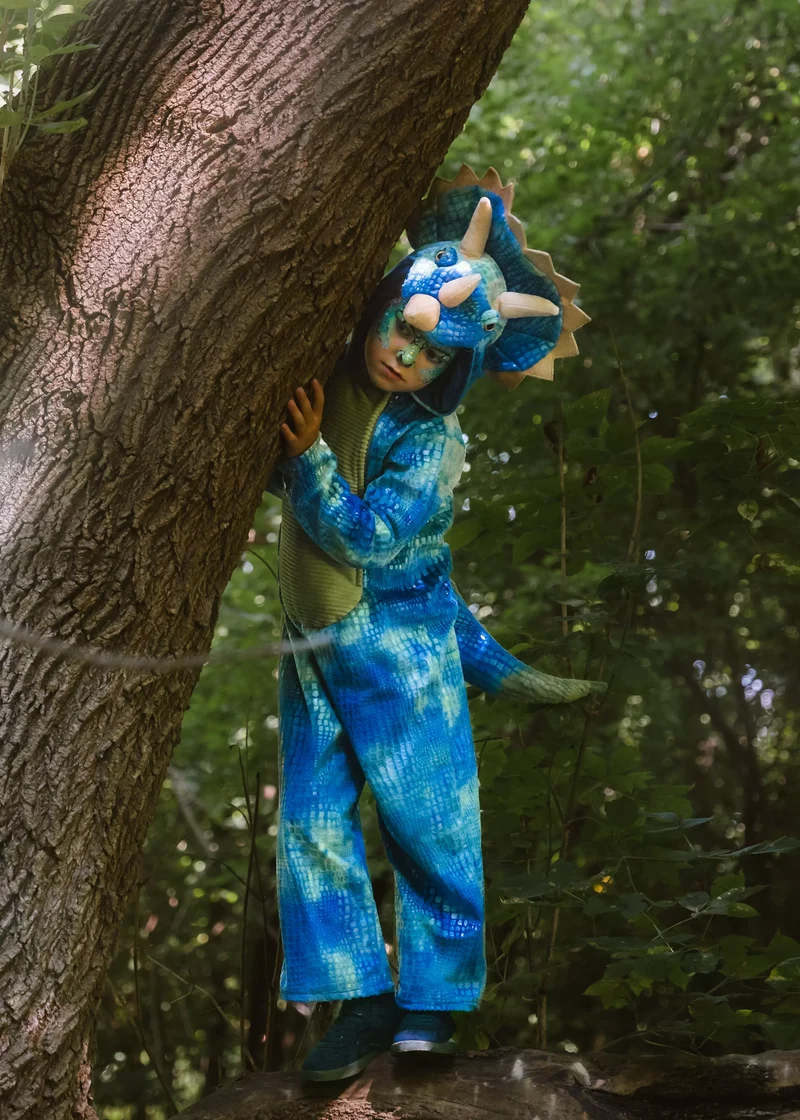 Triceratops Dino Costume