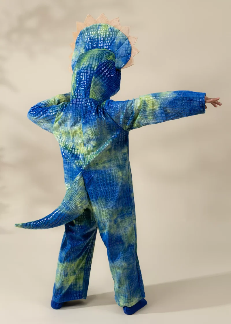 Triceratops Dino Costume