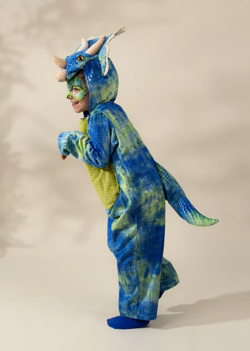 Triceratops Dino Costume