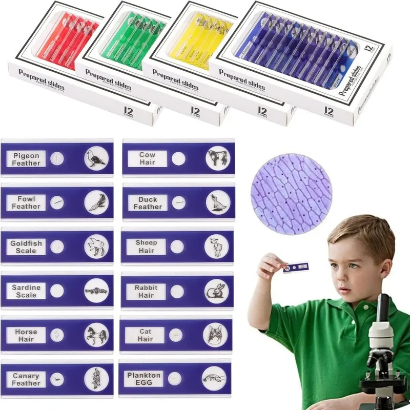 Lames Microscope Enfant - PrepScope™ Kit