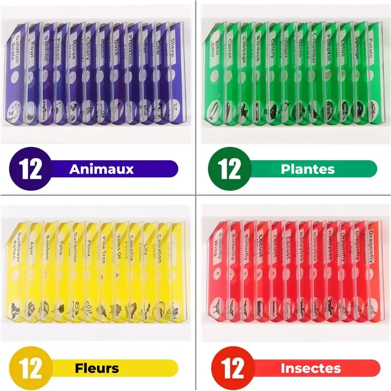 Lames Microscope Enfant - PrepScope™ Kit