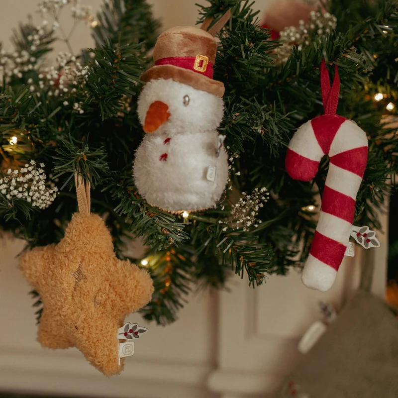 Kersthangers Jim Set – Meerkleurig – Christmas