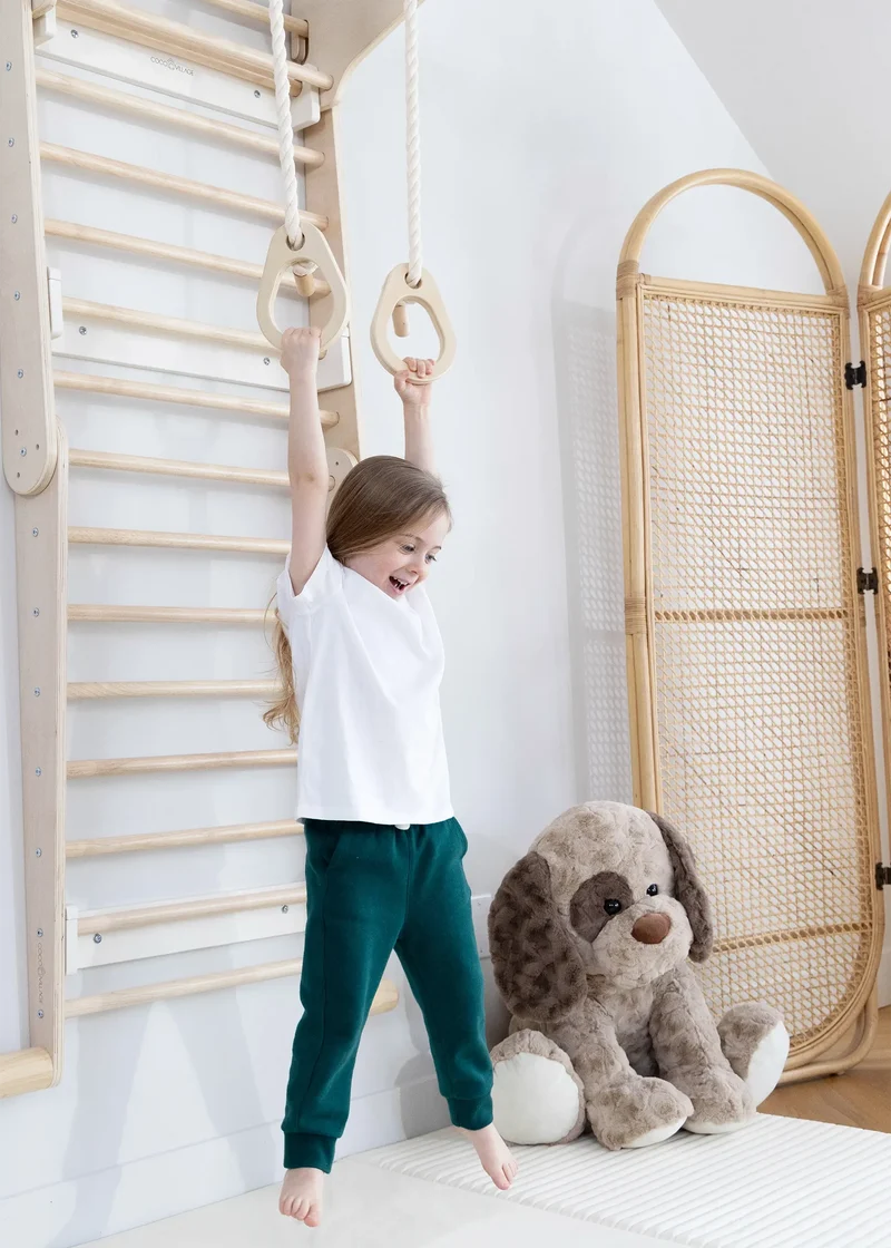 Montessori 2-in-1 Triangle & Wall Climber