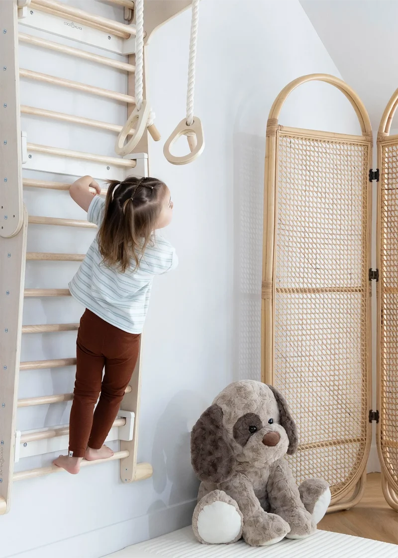 Montessori 2-in-1 Triangle & Wall Climber
