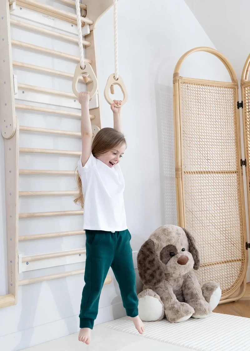 Exercise Rings for Swedish Wall Climber
