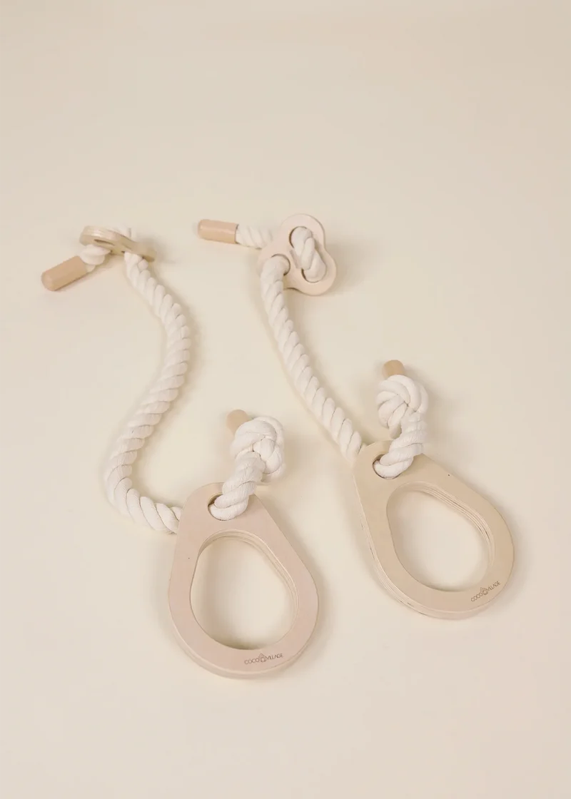 Exercise Rings for Swedish Wall Climber