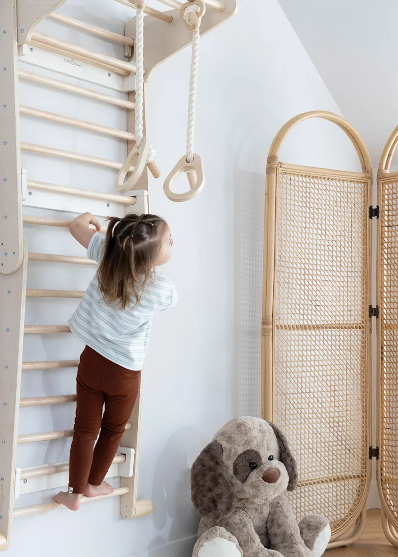 Exercise Rings for Swedish Wall Climber