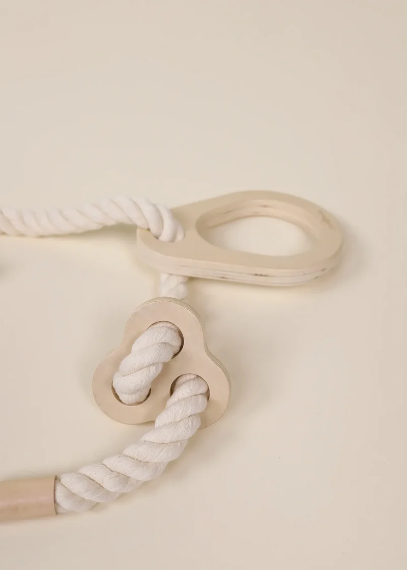 Exercise Rings for Swedish Wall Climber