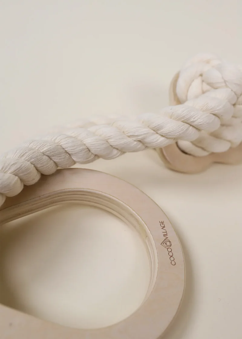 Exercise Rings for Swedish Wall Climber
