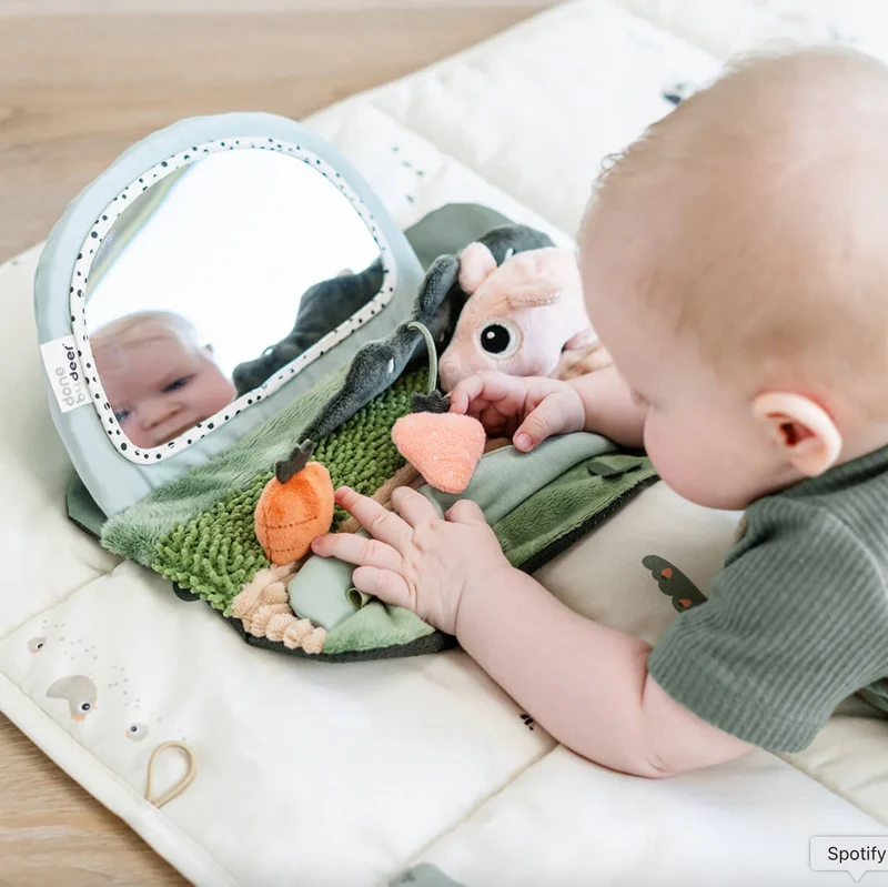 Miroir d'éveil | Tiny Farm