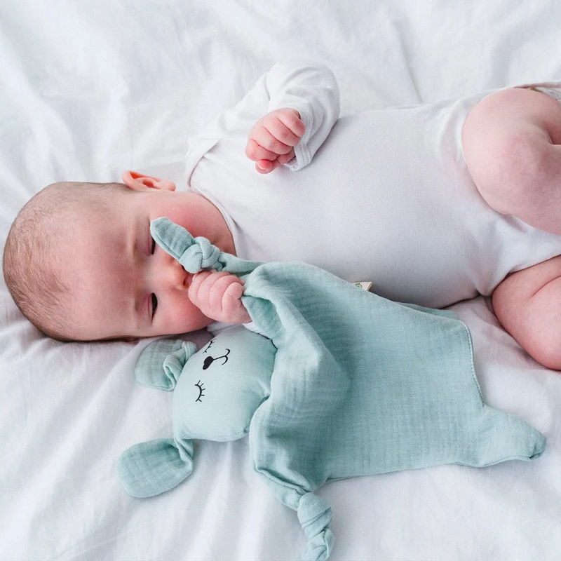 Doudou plat coton bio lapin