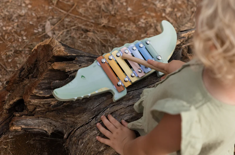 Xylophone crocodile | Safari Friends
