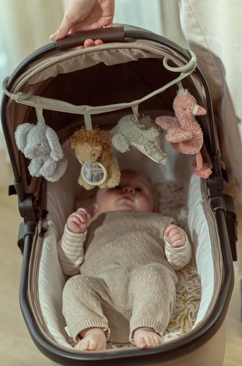Chaîne d'activités | Safari Friends