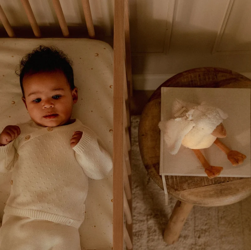 Peluche à bruits blancs Oie | Newborn Neutrals