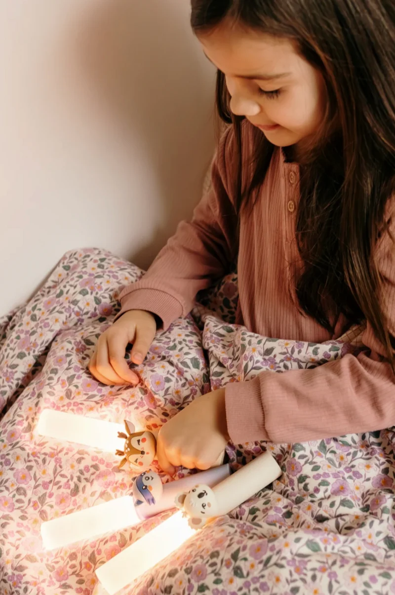 Veilleuse portable｜Raton