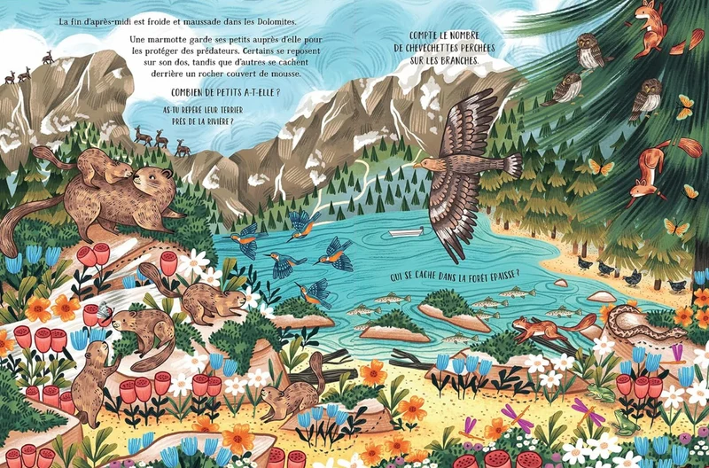 Livre | Dans les montagnes secrètes