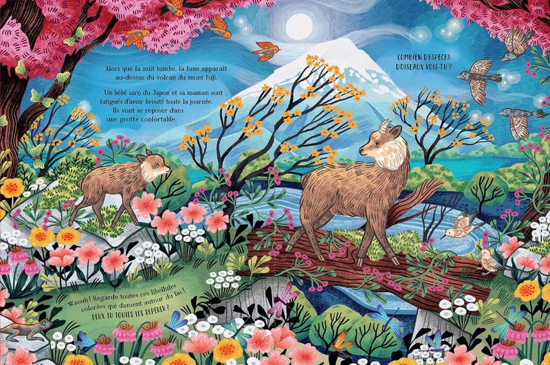 Livre | Dans les montagnes secrètes
