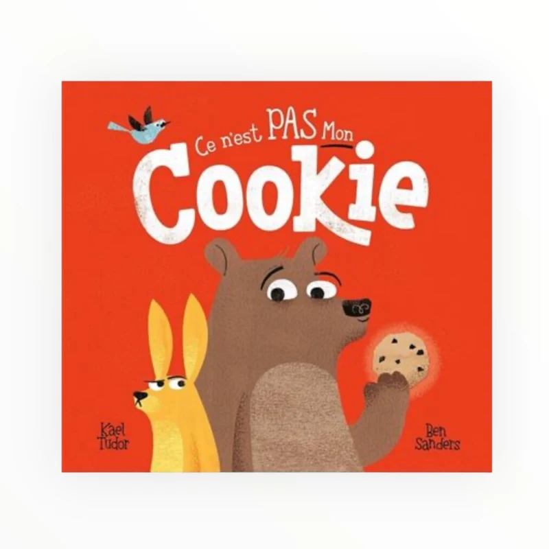 Livre | Ce n'est pas mon cookie
