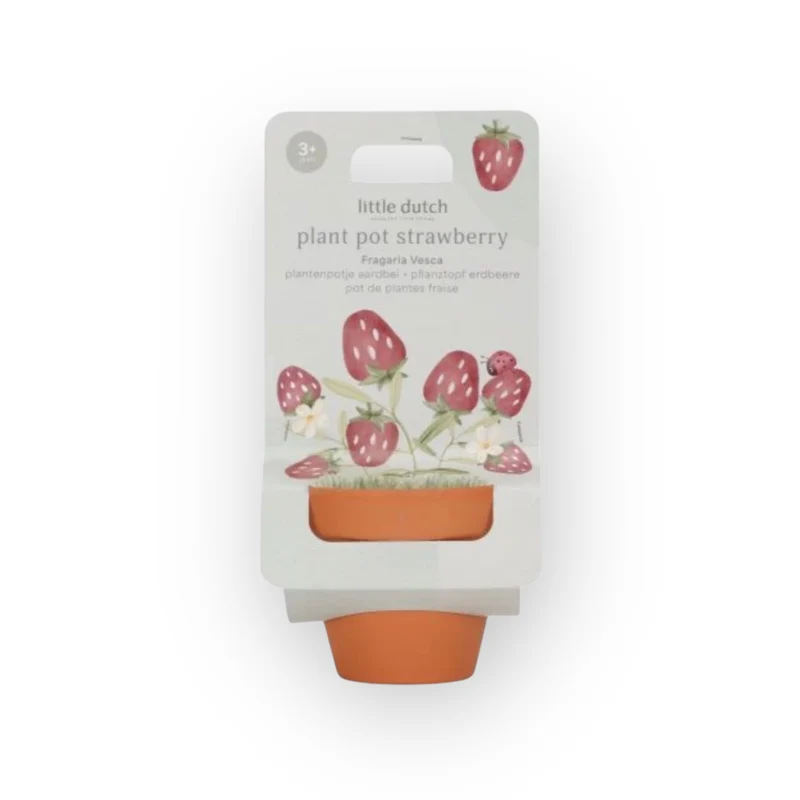 Kit de plantation | Fraise