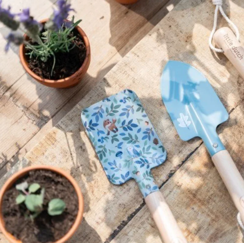 Kit de plantation | Fraise