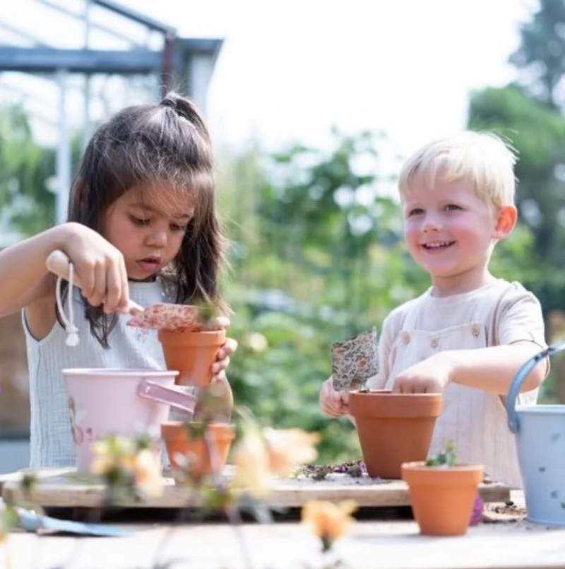Kit de plantation | Fraise