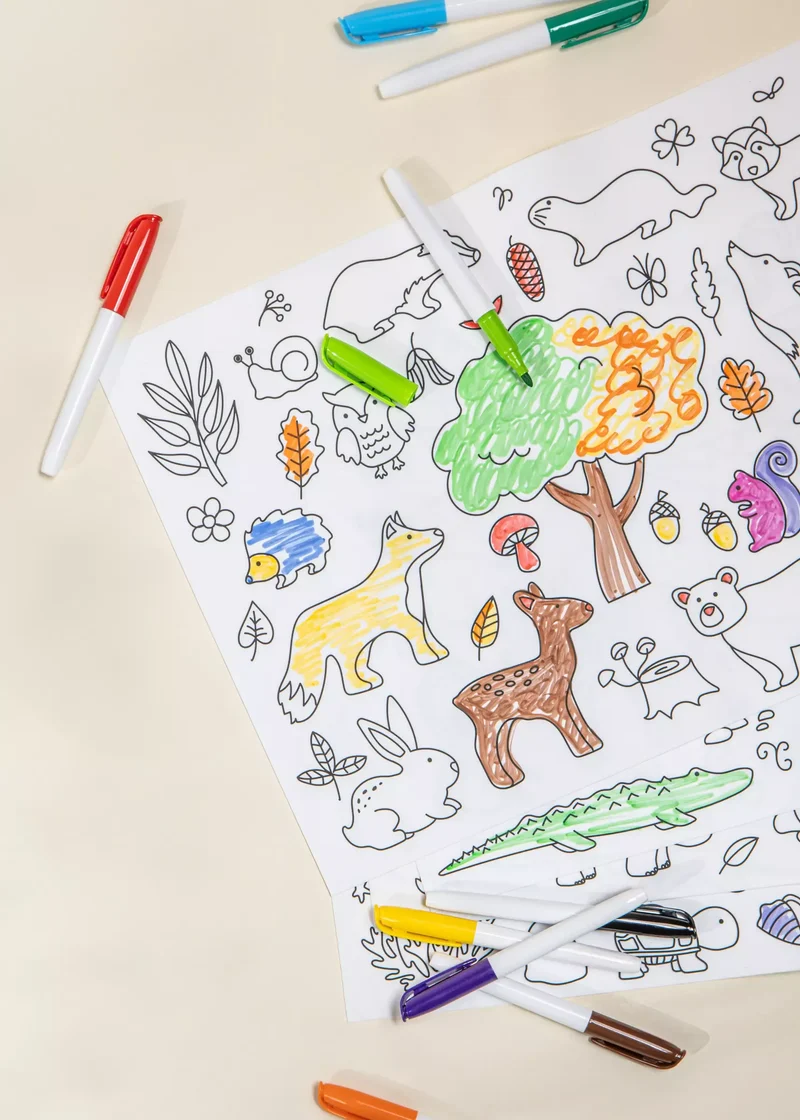 Set of 4 Silicone Washable Coloring Placemats & Markers