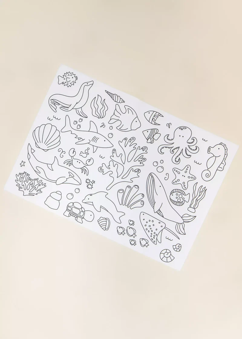 Set of 4 Silicone Washable Coloring Placemats & Markers