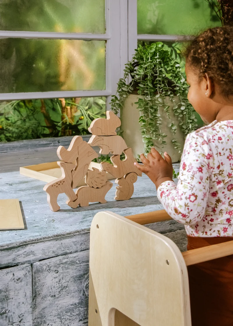 Wooden Balance Puzzle - Forest - 8 pieces