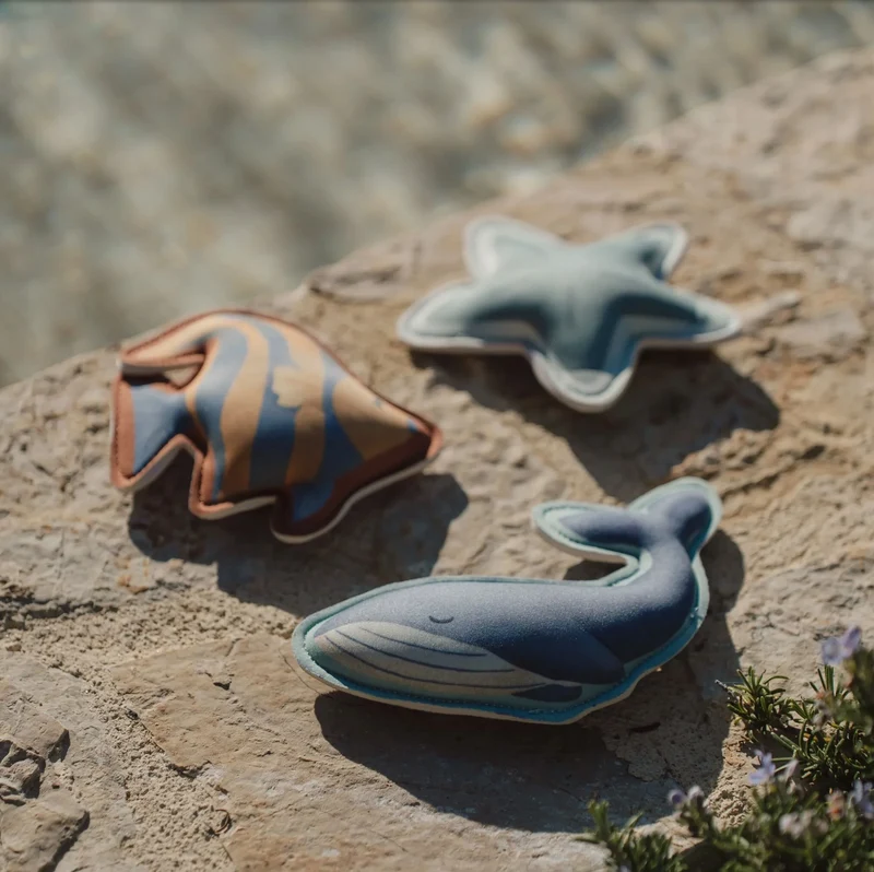 Compagnons de plongée | Ocean World