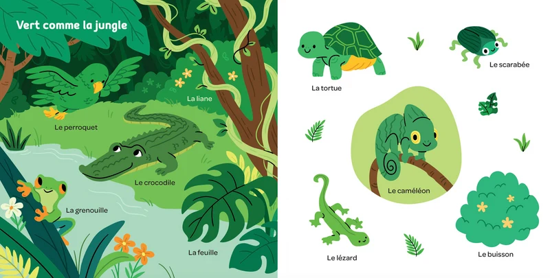 Livre | Mes 100 mots tout en couleurs