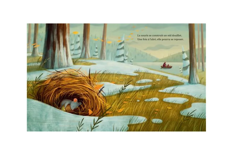 Livre | Berceuse d'hiver