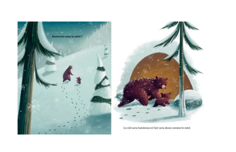 Livre | Berceuse d'hiver