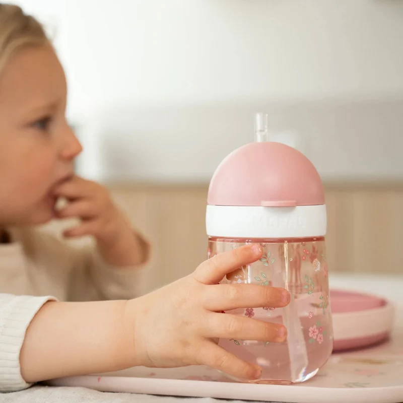 Rietjesbeker 300 ml Fairy Garden