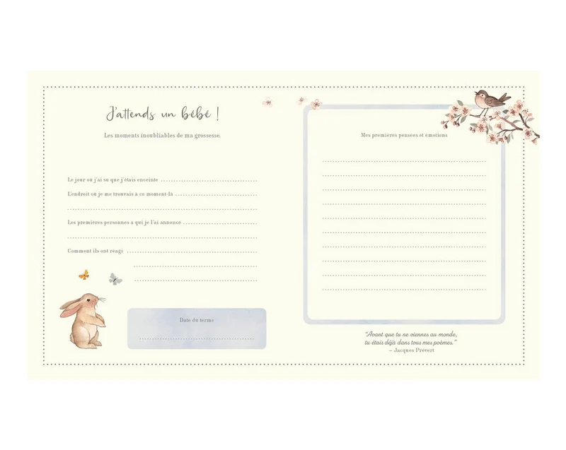 Mon journal de grossesse