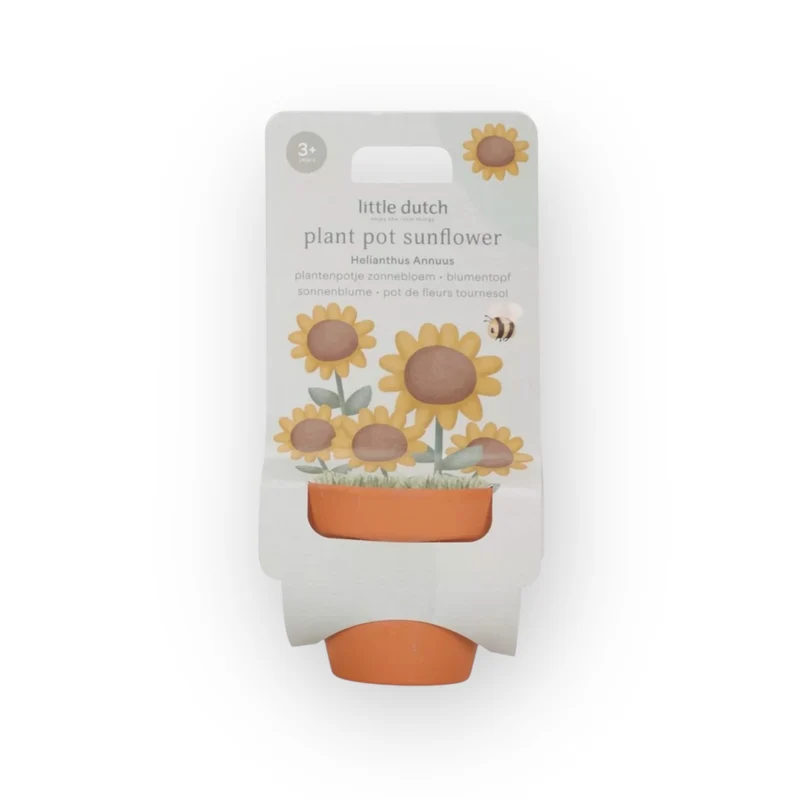 Kit de plantation | Tournesol