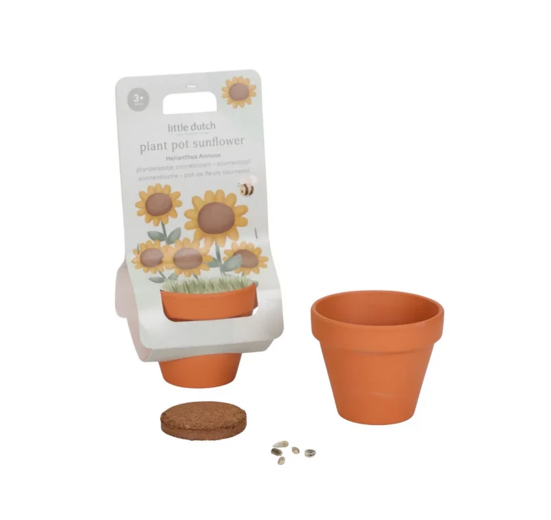Kit de plantation | Tournesol