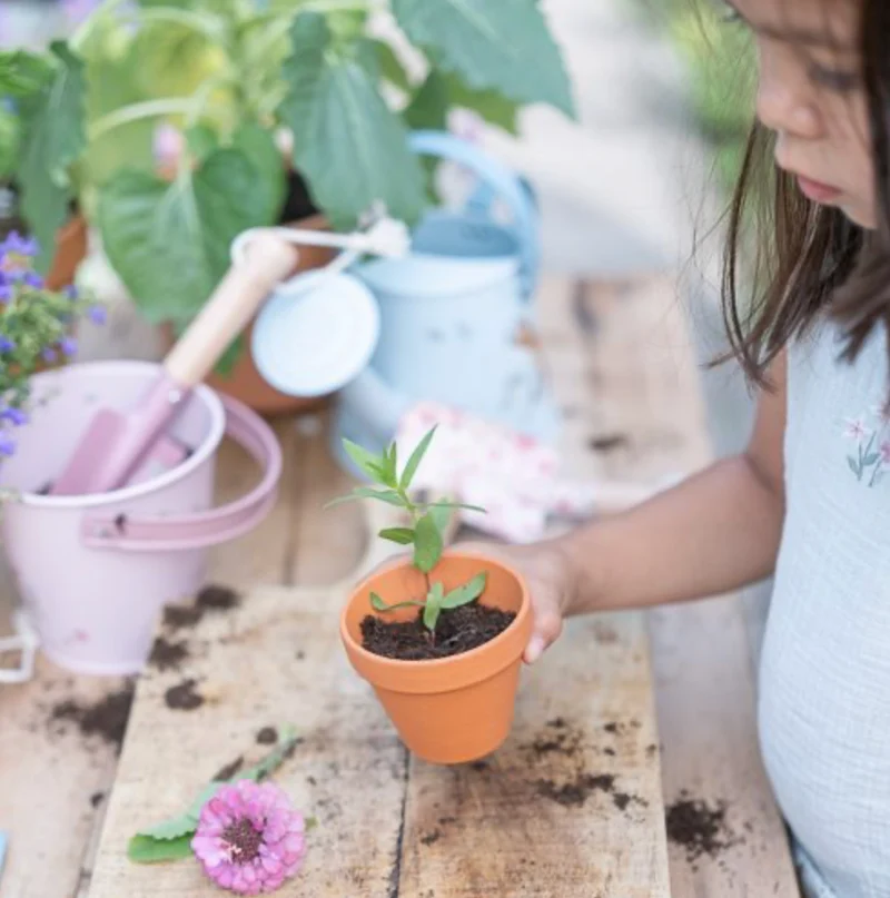 Seau | Fairy Garden