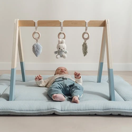 nijntje babygym - Blauw - Lucky Leaves