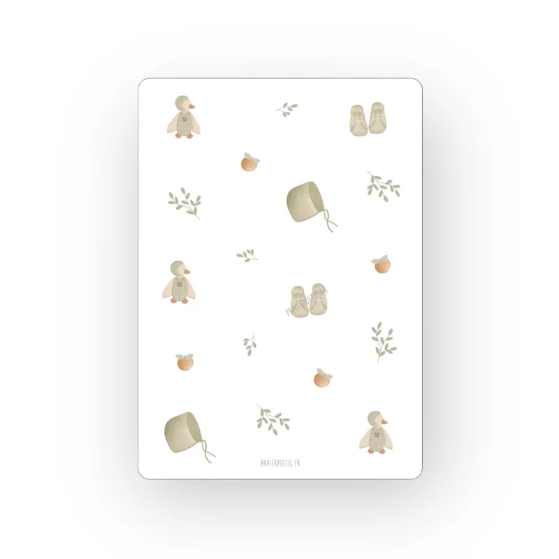 Carte | Naissance sauge