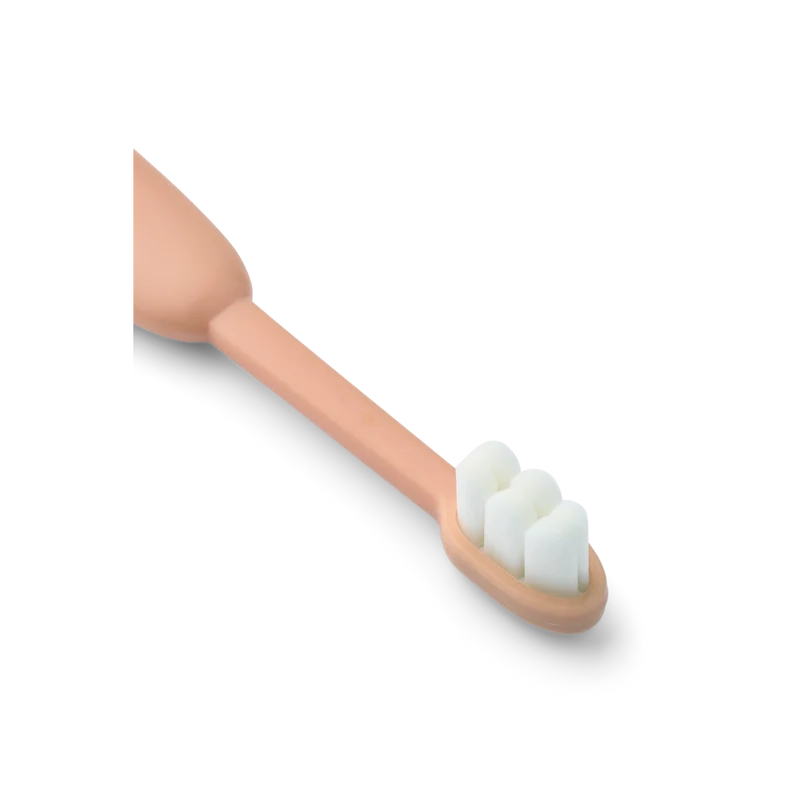 Lot de 2 brosses à dents | Animaux