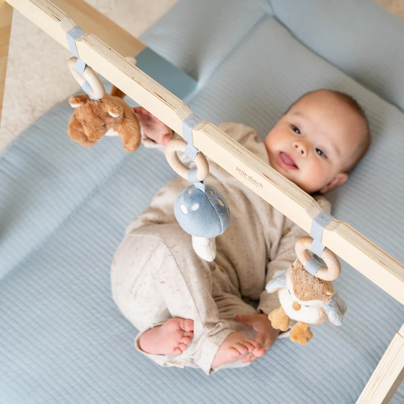 Babygym - Blauw - Forest Friends